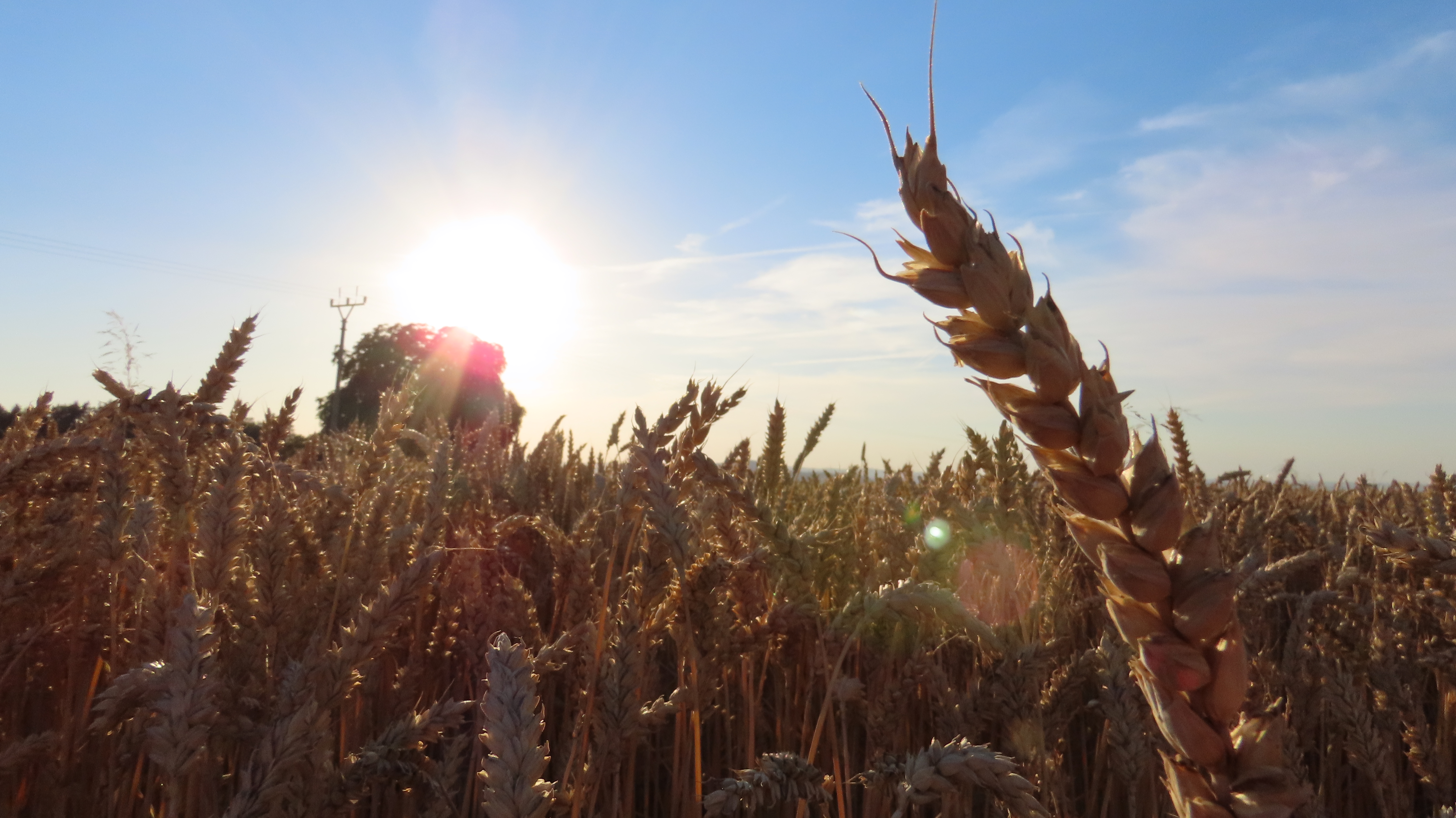 Naše zemědělské družstvo