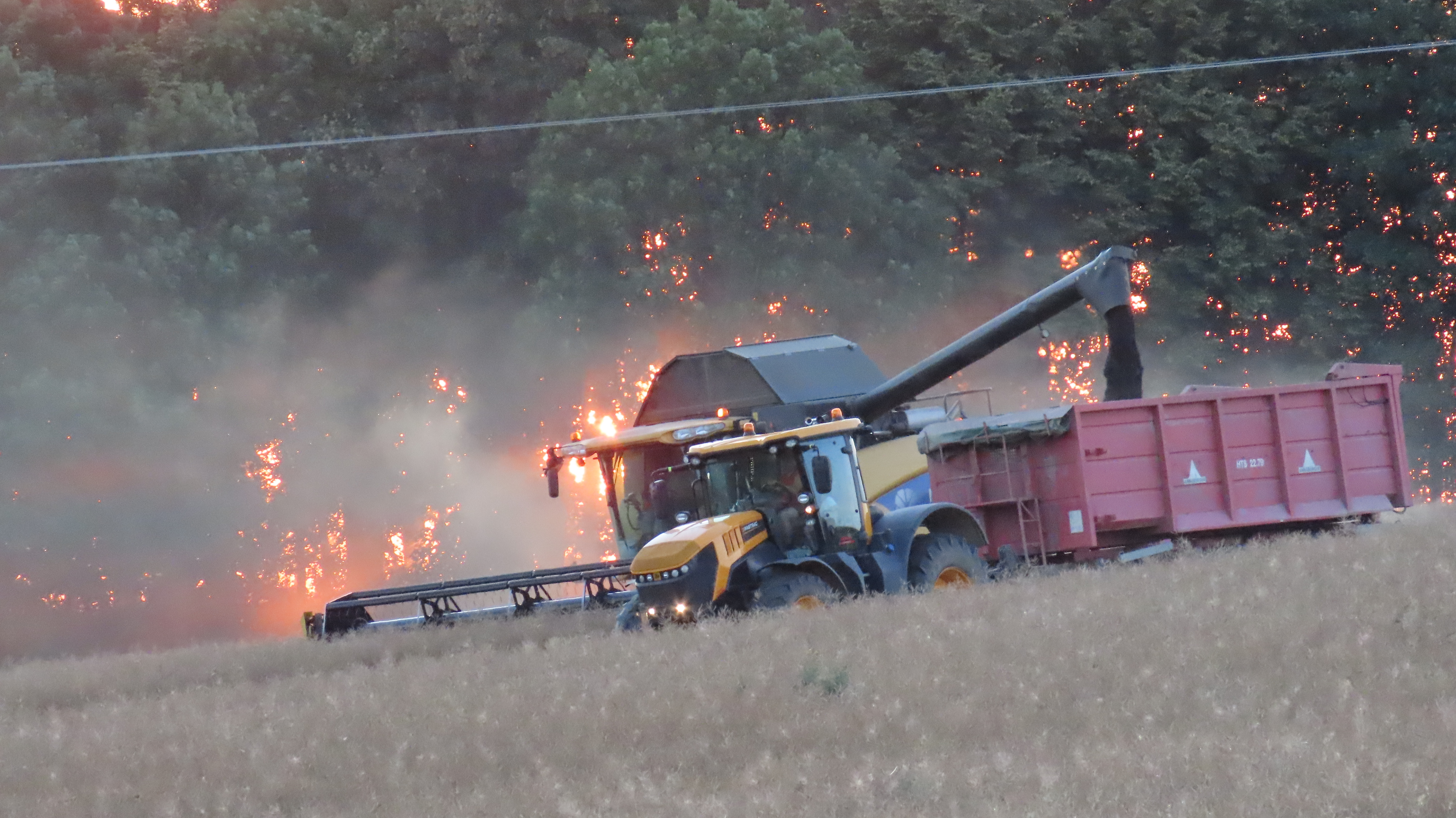 Zemědělská práce 1